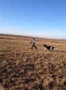 Превью фото № 197709