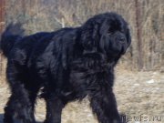 Превью фото № 197723