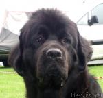 Превью фото № 19781