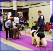 Превью фото № 197857