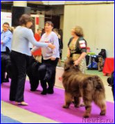 Превью фото № 197859