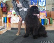 Превью фото № 197864