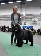 Превью фото № 197874