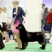 Превью фото № 197880