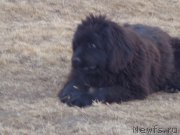 Превью фото № 197914