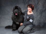 Превью фото № 197928