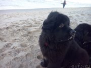 Превью фото № 197932