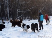 Превью фото № 197973