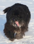 Превью фото № 197981