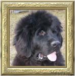 Превью фото № 198