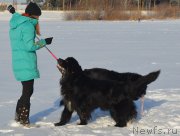 Превью фото № 198003