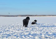 Превью фото № 198005