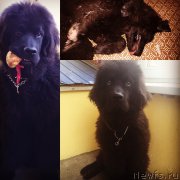 Превью фото № 198026