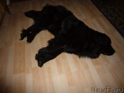 Превью фото № 198061