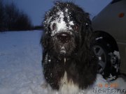 Превью фото № 198086