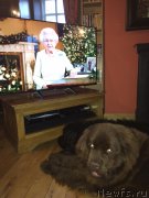 Превью фото № 198160