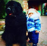 Превью фото № 198186