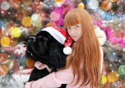 Превью фото № 198189