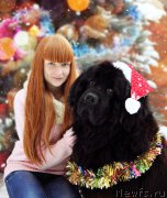 Превью фото № 198190