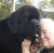 Превью фото № 198213