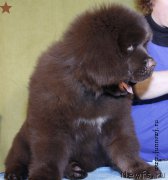 Превью фото № 198288