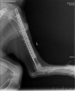 Превью фото № 198291