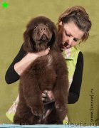 Превью фото № 198312