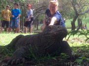 Превью фото № 198321