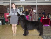 Превью фото № 198323