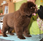 Превью фото № 198342