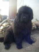 Превью фото № 198351