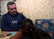 Превью фото № 198358