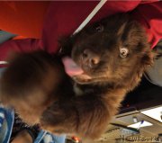 Превью фото № 198481