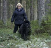 Превью фото № 198486