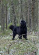 Превью фото № 198491