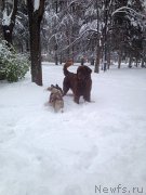 Превью фото № 198518