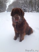 Превью фото № 198519