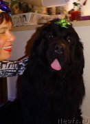 Превью фото № 198525