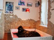 Превью фото № 198539