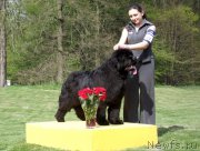 Превью фото № 198541