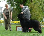 Превью фото № 198545