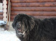 Превью фото № 198558