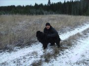 Превью фото № 198667