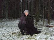 Превью фото № 198668