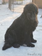 Превью фото № 198736