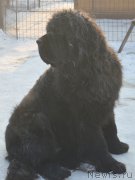 Превью фото № 198737