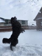 Превью фото № 198757