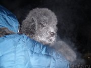 Превью фото № 198762