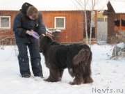 Превью фото № 198787