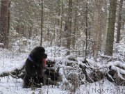 Превью фото № 198791